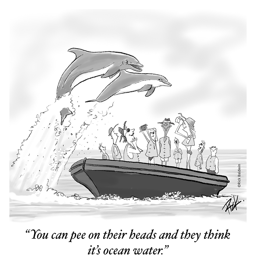 Dolphins Dolphins cartoon by Rick Baldwin