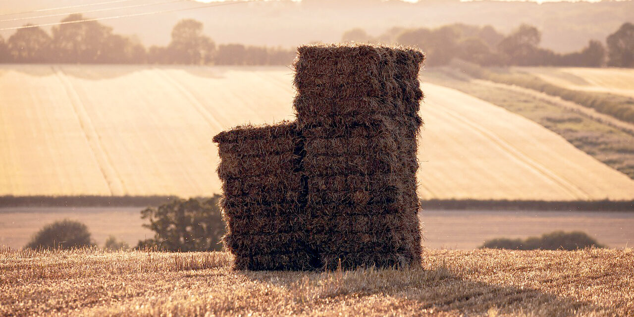 In Defense of Independent Contractors