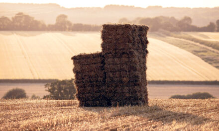 In Defense of Independent Contractors