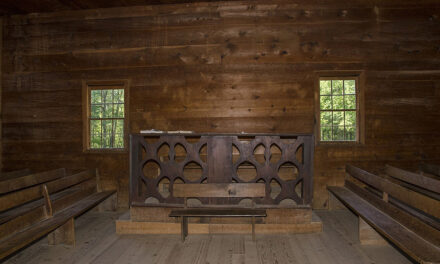 For Better or for Worse