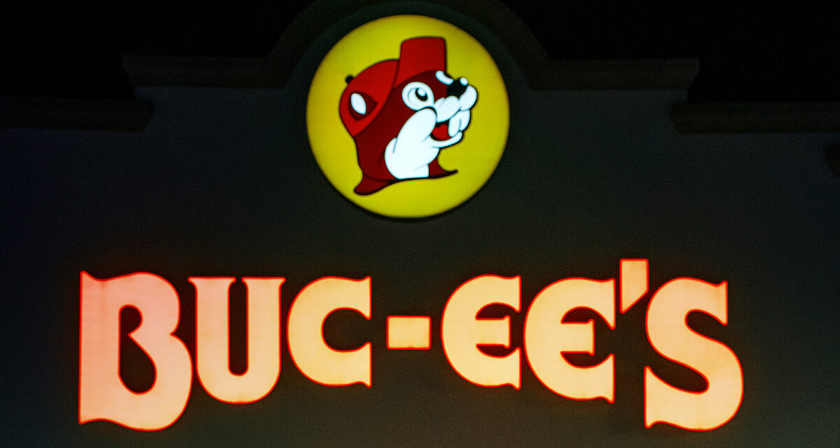 Hunting and Field Dressing the Buc–ee Beaver