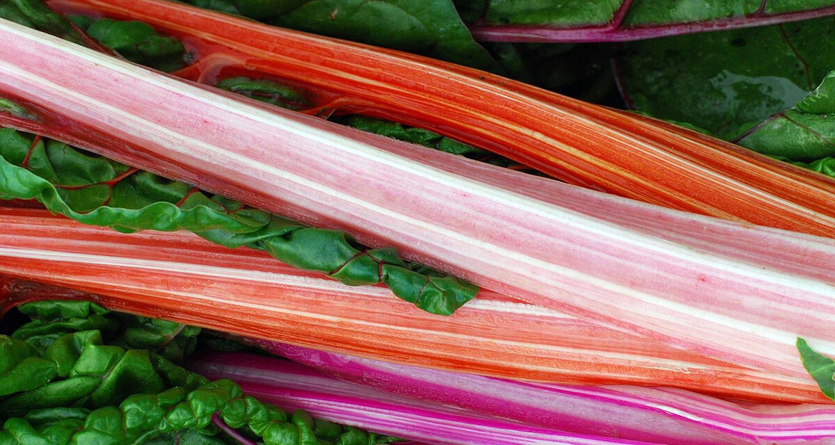 Revenge of the Rhubarb