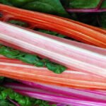 Revenge of the Rhubarb