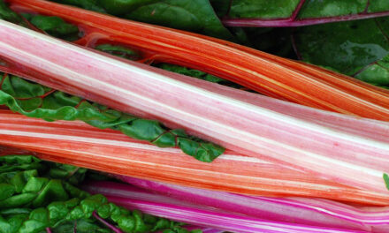 Revenge of the Rhubarb