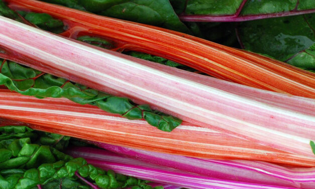 Revenge of the Rhubarb